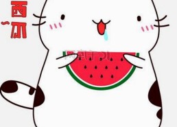 网红黑料实拍引发热议：娱乐吃瓜群众的“起诉”背后真相